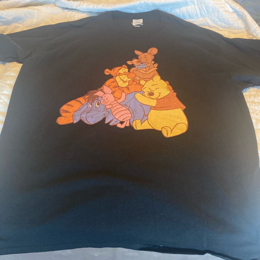 ￼ Disney, Winnie the Pooh and friends size 2XL T-shirt worn once